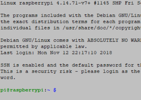 Raspberry Pi ターミナル画面